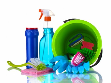 Professional pet stain odour removal in Northumberland Heath on carpet
