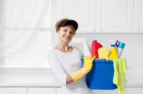 Cleaning deep pet odours from upholstery in Northumberland Heath