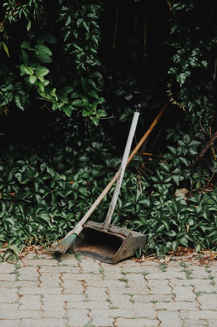 A broom and dustpan resting against a dense, dark green hedge outside on a paved area. The broom has a long wooden handle with light-colored bristles, and the dustpan is metallic with a black handle.